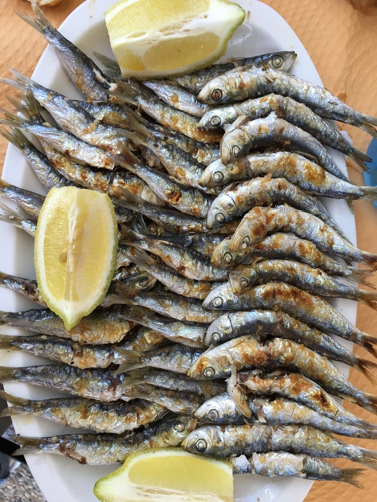 One of the best tapas in Malaga: Espeto de sardinas